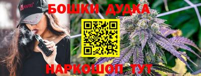 PSILOCYBIN Будённовск